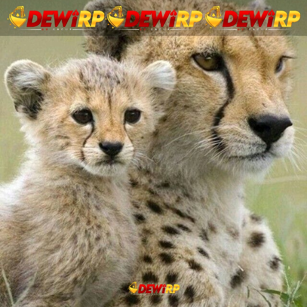 Galaxy A07 Front Black 